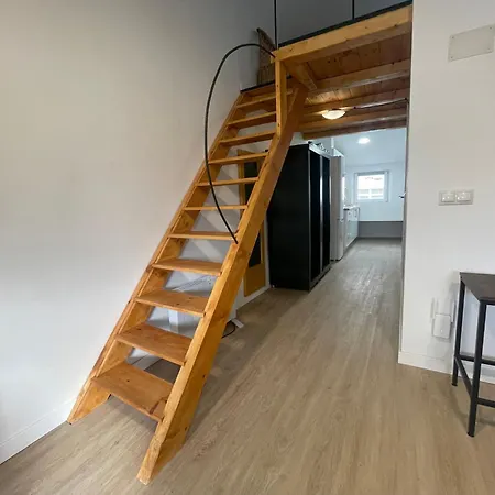 Centrico Estudio Muralla Romana Lugo