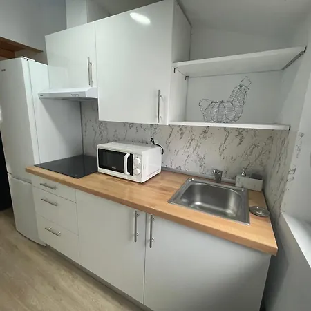 Céntrico Estudio Muralla Romana