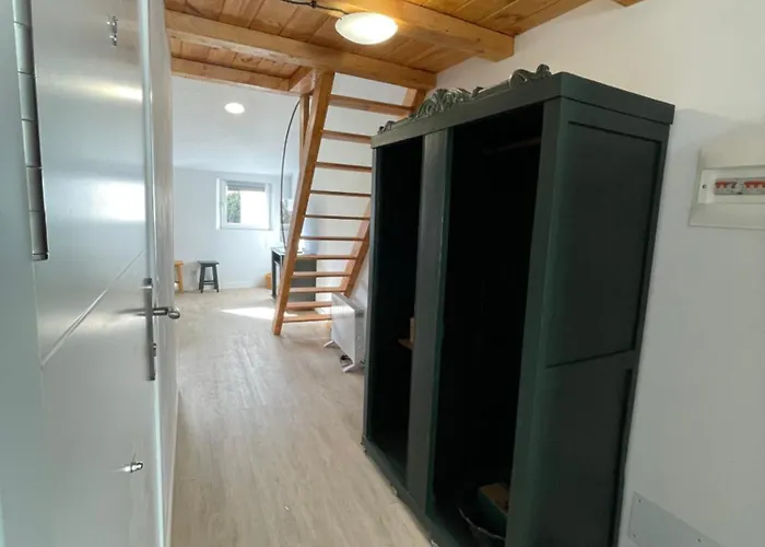 Centrico Estudio Muralla Romana Lugo