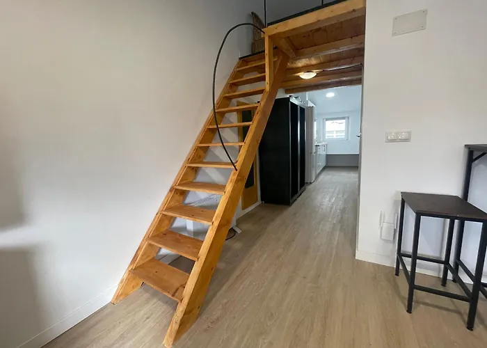 Centrico Estudio Muralla Romana Lugo